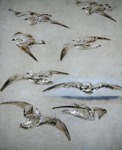 Seven Seagulls by Clarkson Frederick Stanfield